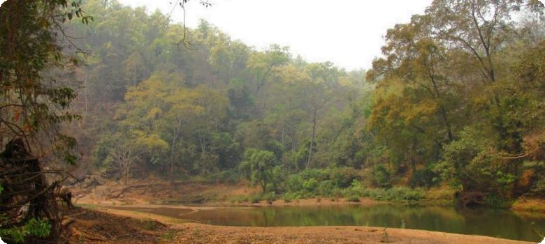 Koina river flowing along forests and hills in Jharkhand