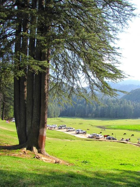 Pancha Pandava and Draupadi