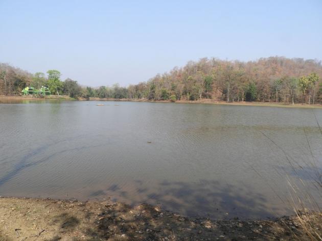 Beautiful Nagzira lake, Maharashtra