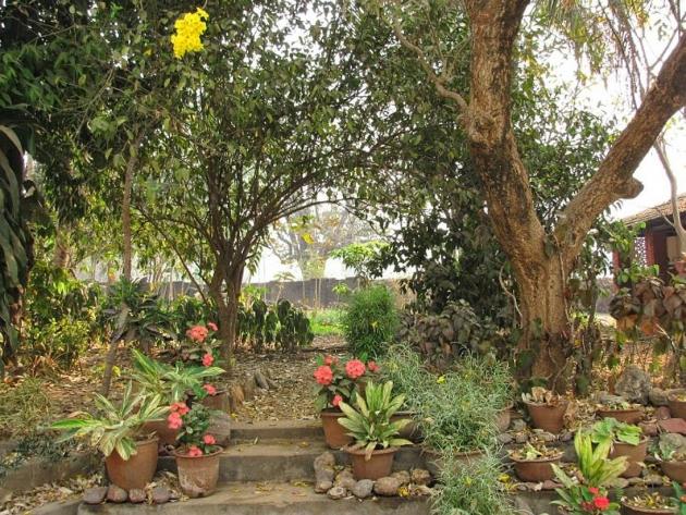 Cute and warm colored garden path