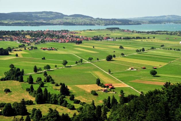 Alpine foothills Alpine foothills