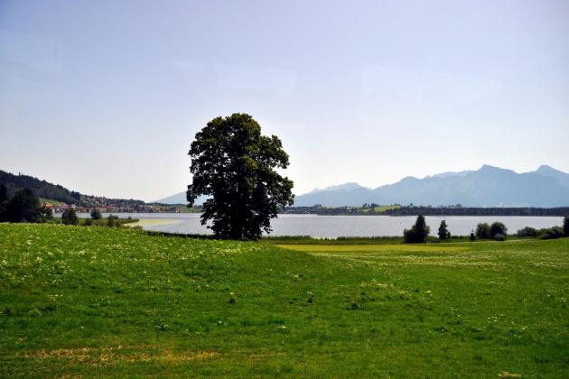 German country-side with lakes and wild flowers German country-side with lakes and wild flowers